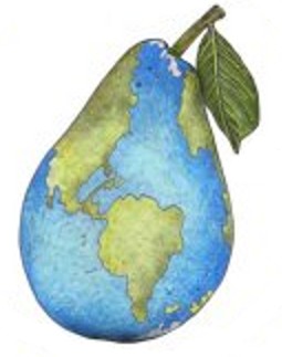 Tierra-Pera (fruit du jour) - cropped