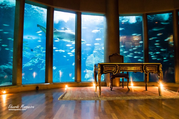 El gabinete del Capitán Nemo